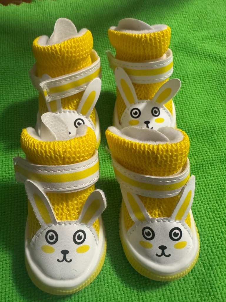 Zapatitos para perro/a