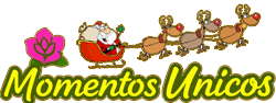 Momentos Únicos
